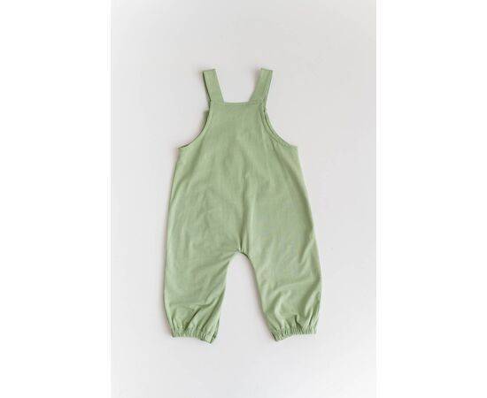 Crocodile Embroidered Salopet for Baby Boys